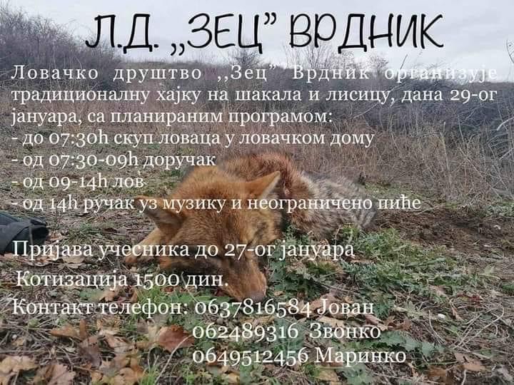 LD Zec - Vrdink organizuje tradicionalnu hajku na šakala i lisicu 29.01.2003