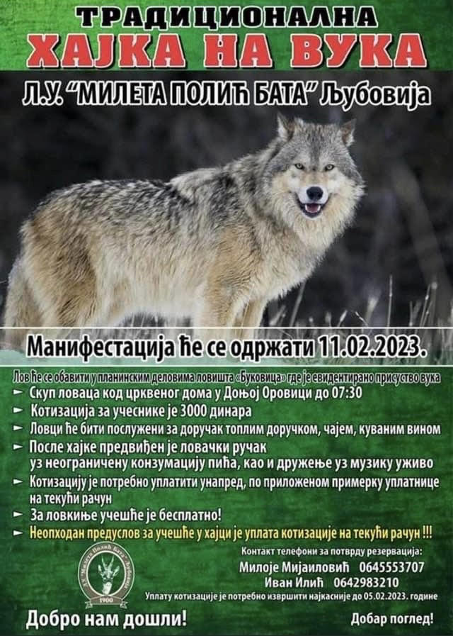Tradicionalna hajka na vuka - Ljubovija 11.02.2023